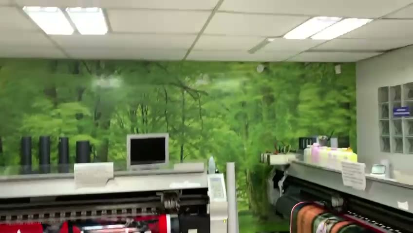 Adesivação de parede com paisagem de floresta